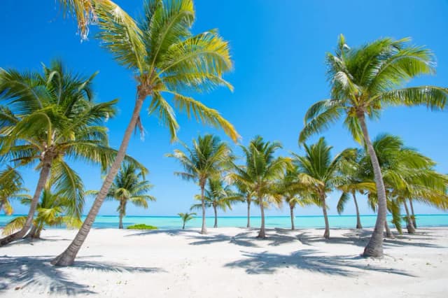 Lugares imprescindibles que visitar en Punta Cana para una experiencia única